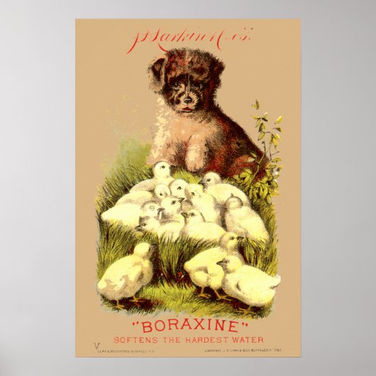 Victoriaans tijdperk puppy & Baby chicks zeep adve Poster (Voorkant)
