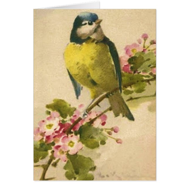 Victoriaans vogelillustratie (Voorkant)