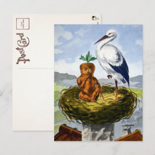 Victoriaans wortelBaby in een nestBriefkaart Briefkaart