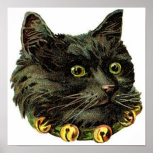 Victoriaans zwarte kat met klokband poster