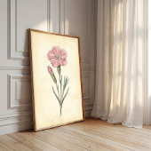 Victoriaanse botanische Dianthus-muurkunst Poster