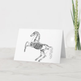 Victoriaanse paardenskeletillustratie kaart