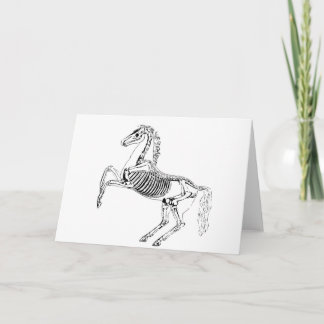 Victoriaanse paardenskeletillustratie kaart