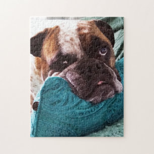 Victorian Bulldog Photo 11x14 Puzzle