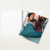 Victorian Bulldog Photo 8x11 Carnet (Devant avec enveloppe)