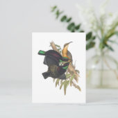 Victoria's Rifle Bird Briefkaart (Staand voorkant)