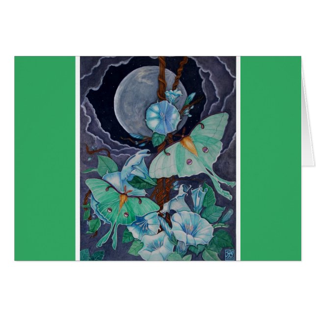 Vida de la Luna (Voorkant Horizontaal)