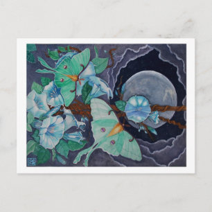 Vida de la Luna Briefkaart