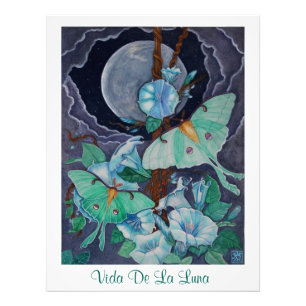 Vida de la Luna Foto Afdruk