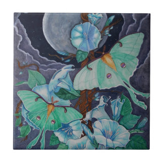 Vida de la Luna Tegeltje