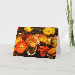 Vide Cartes de voeux