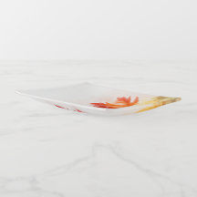 Bac à trinquettes à chute adoucie