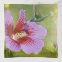 Nectar de collecte des colibris