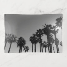 Palmiers de l'océan d'été Photographie en noir et 