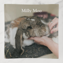 Photo personnalisée pour animal de compagnie