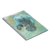 Vie côtière Belle Manate | CARNET (Côté Droit)