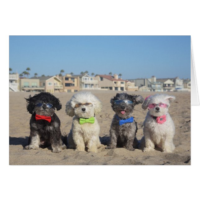 Vie de plage (Devant horizontal)