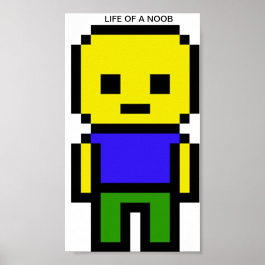 Vie d'une affiche de noob (Devant)