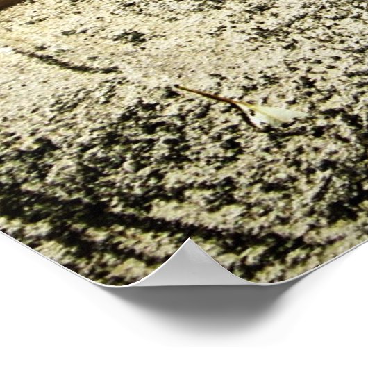 Vie : La semence de l'entraide Poster (Coin)