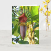 VIEILLE carte de voeux de BANANES de la FLORIDE (Fleur jaune)
