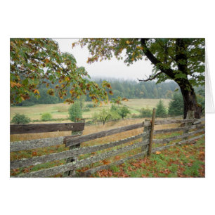 Vieille Clôture Sur Une Ferme