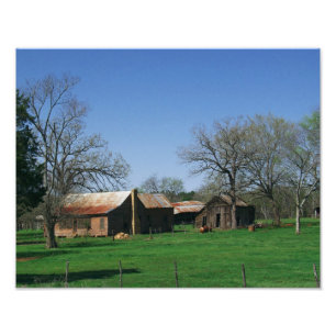 Vieille photo de ferme