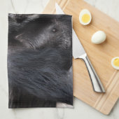 Vieille serviette de main de chimpanzé (Quart Plié)