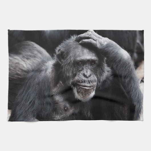Vieille serviette de main de chimpanzé (Horizontal)