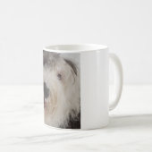 Vieille tasse anglaise de chien de berger - visage (Devant droit)