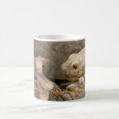 Vieille tasse de bavardages (Centre)