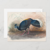 Vieillot's vuurvaste fazant van Joseph Wolf Briefkaart (Voorkant / Achterkant)