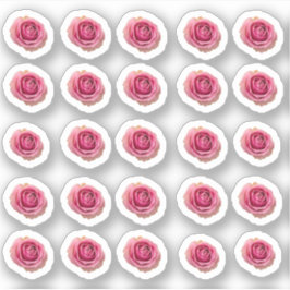 Viele kleine Rosa Rosen Sticker