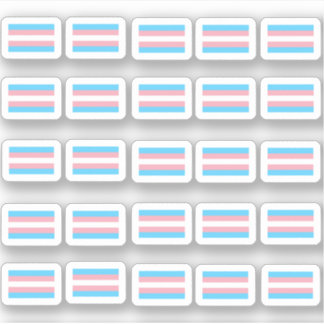 Viele kleine Transgender Flaggen Sticker