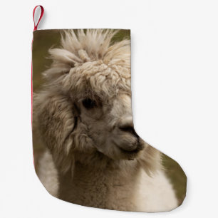 VIENNA WIEN ÖSTERREICH AUSTRIA ALPAKA LAMA ANIMAL KLEINE KERSTSOK