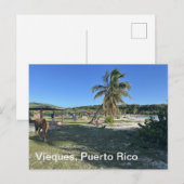 Vieques, Puerto Rico briefkaart (Voorkant / Achterkant)