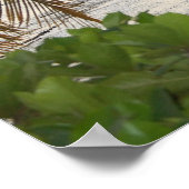 Vieques, Puerto Rico Poster (Hoek)