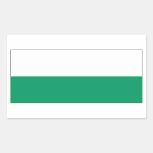 VIER Aalten Flag Rechthoekige Sticker