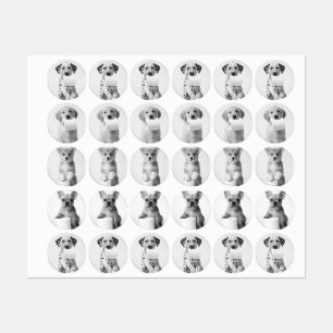 Vier Adorable Puppies met Toiletpapier in Esthetis Labels