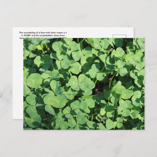 vier bladklavers Briefkaart (Voorkant / Achterkant)