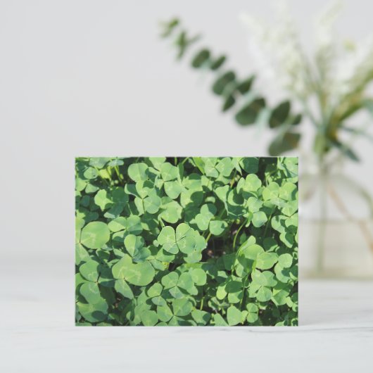 vier bladklavers Briefkaart (Staand voorkant)