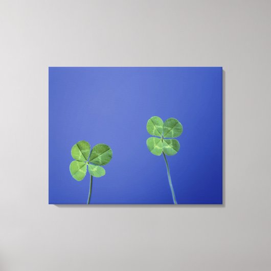 Vier bladklavers canvas afdruk (Voorkant)