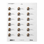 Vier Cavalier King Charles Spaniels Etiket (Full Sheet)