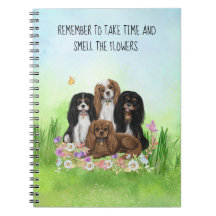 Vier Cavalier King Charles Spaniels in Flowers