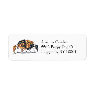 Vier Cavalier King Charles Spaniels Simple Etiket