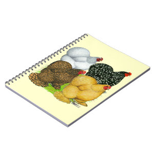 Vier Cochin Hens Notitieboek