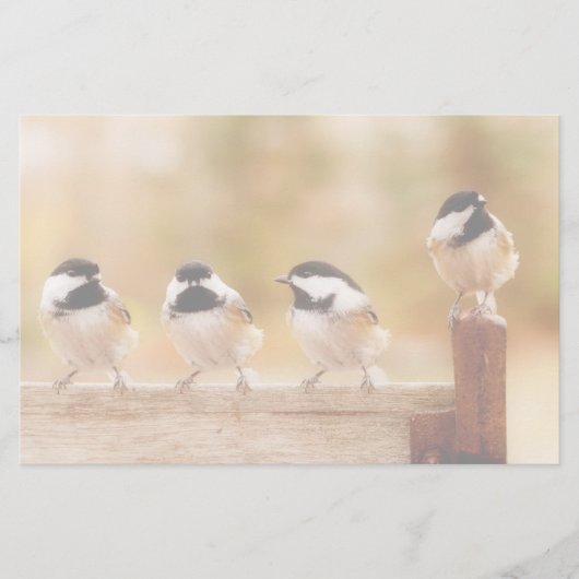 Vier Cute Chickadees Briefpapier (Voorkant)