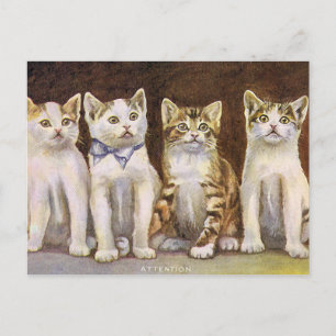 Vier Cute Kittens Illustratie Briefkaart