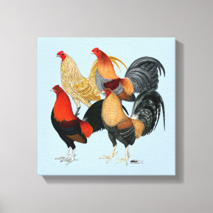 Vier Gamecocks Canvas Afdruk