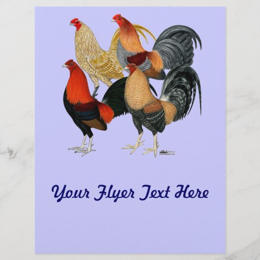 Vier Gamecocks Flyer (Voorkant)