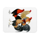 Vier Gamecocks Magneet (Horizontaal)